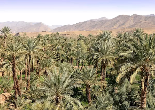 Visit Skoura, Morocco